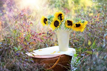 Sunflowers in the Pot