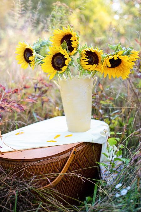 Sunflowers in the Pot