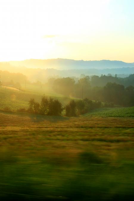 Sunny hilly landscape