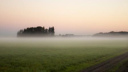 Sunrise and fog, Willamette Valley, Oregon