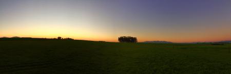 Sunrise on Green Grass Field