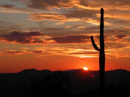 Sunset in Arizona