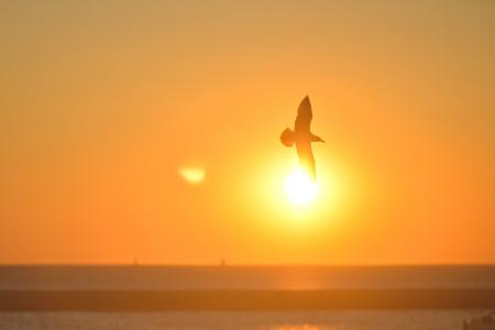 Sunset Mallorca beach