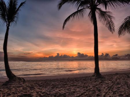 Sunset on Sea Shore