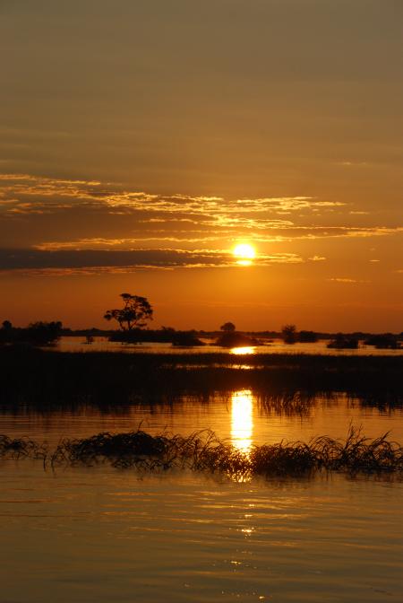 Sunset over the Chobe river