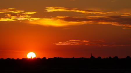 Sunset View With a Silhouette of Trees