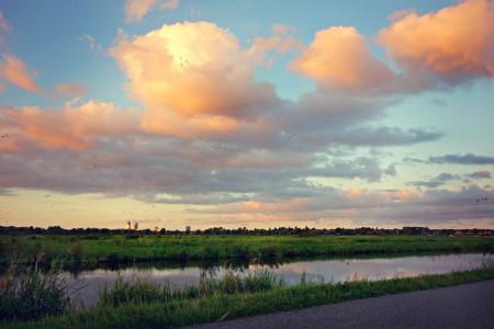 Swamp Surrounded With Green Grasses Near Pathway during Golden Hour