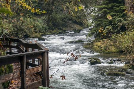 Sweet Creek Trail, Oregon