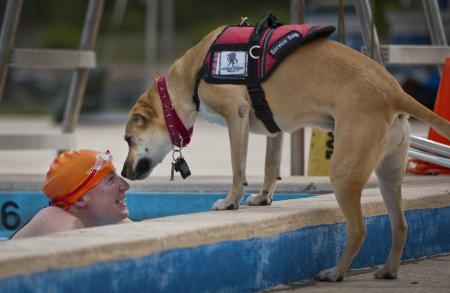 Swimmer in the Pool