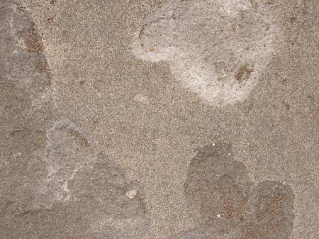 Tan Concrete Texture