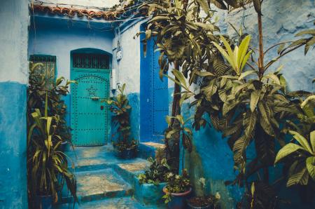 Teal Steel Door Near Plants