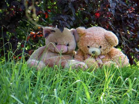 Teddy Couple