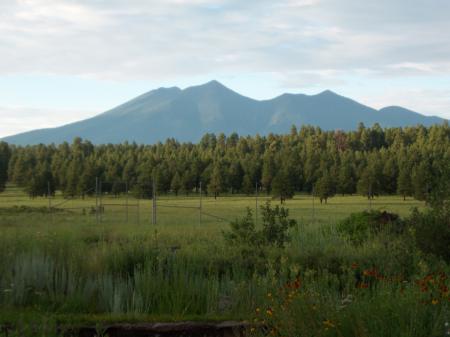 The Arboretum at Flagstaff