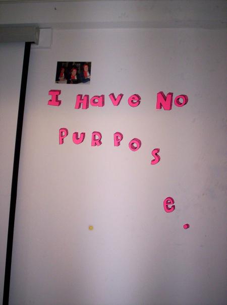 The Girl who had no Purpose