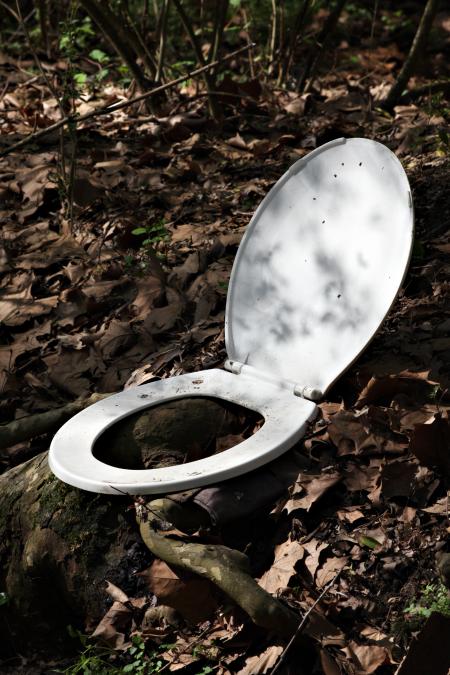 The Misplaced Toilet Seat