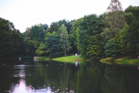 The river in the park