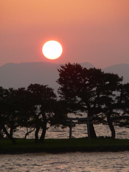 The sun setting behind the Japanese pines on Yomegashima Island