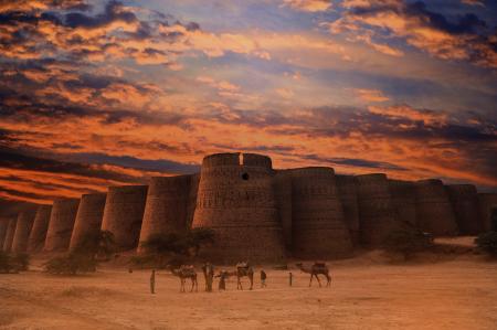 Three Brown Camels Near Building Under Cloudy Sky
