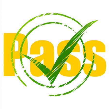Tick Pass Shows Check Confirm And Approval