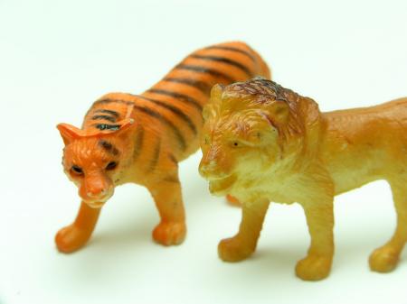 Tiger and lion