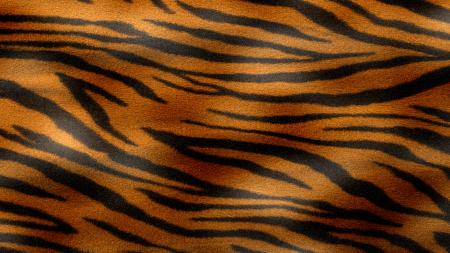 Tiger Texture