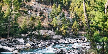 Time Lapse Photography of Body of Water Surrounded by Trees