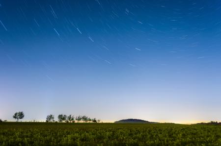 Time-lapse Photography of Field With Trees and Grasses