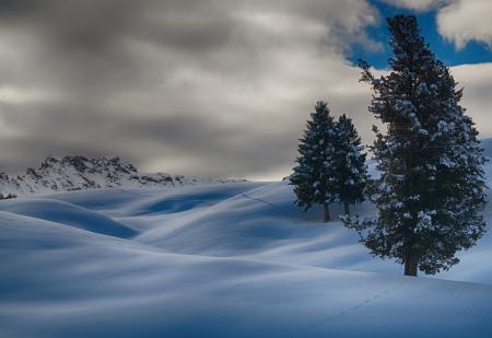 Time Lapse Photography of Three Trees Covered With Snow