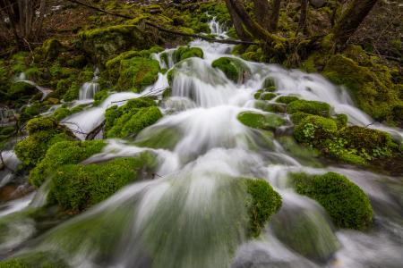 Time-lapse Photography of Water Fall