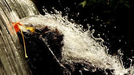 Time-lapse Photography of Water Splashing on Brown Rock during Dytime