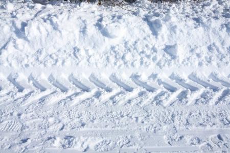 Tire Tracks in the Snow