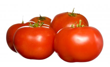 tomatoes