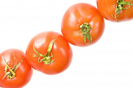 tomatoes