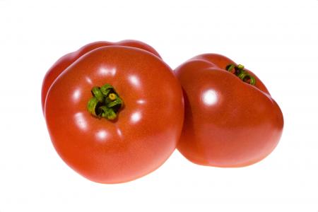 tomatoes