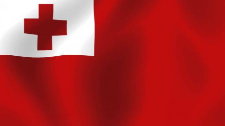 Tonga Grunge Flag