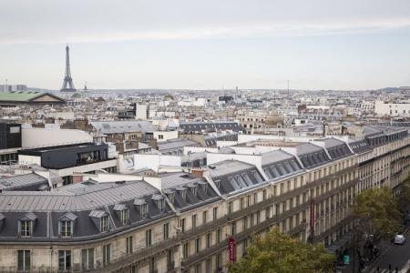 Top View of Paris City and Eiffel Tower