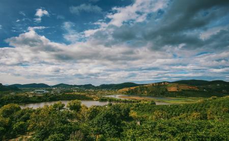 Top View Photography of Green Forest