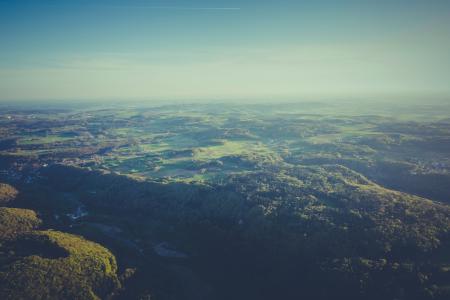 Top View Photography of Green Forest during Daytime