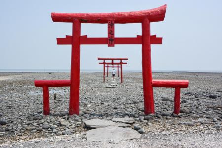 Torii