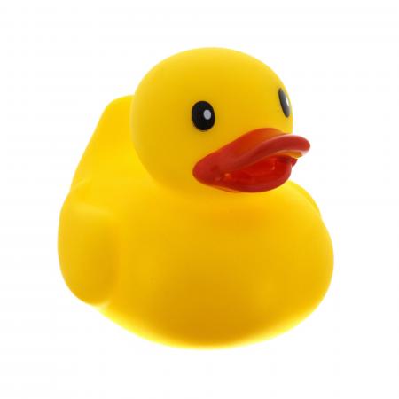 Toy Ducks