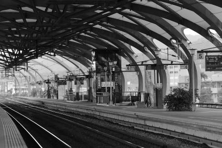 Train Terminal Gray Scale Photo