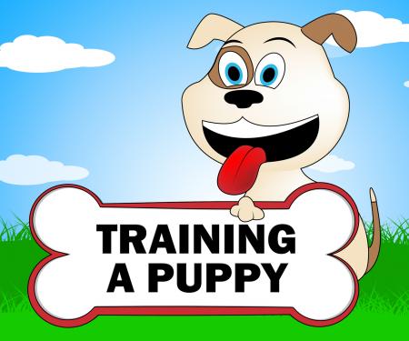 Training A Puppy Represents Trainer Instruction And Coach