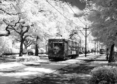 Tram Track