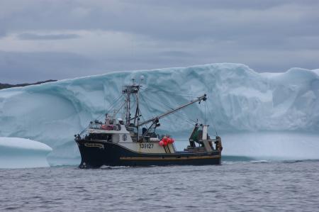 Trawler and iceberg