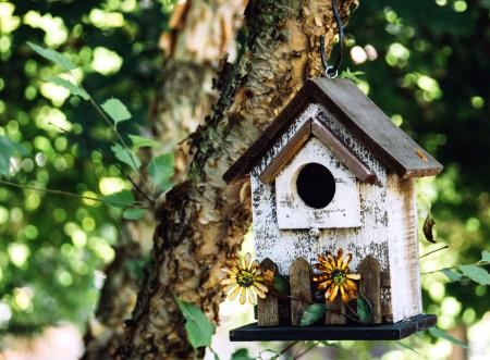 Tree birdhouse