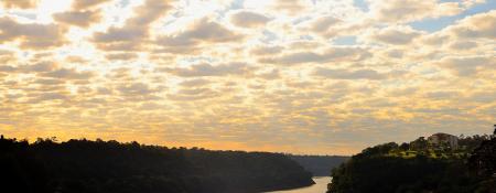 Tree Under Gray and White Sky