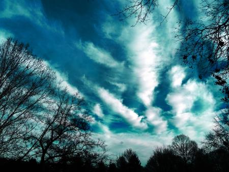 Trees and Clouds Photography