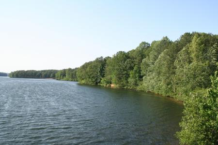 Trees and water