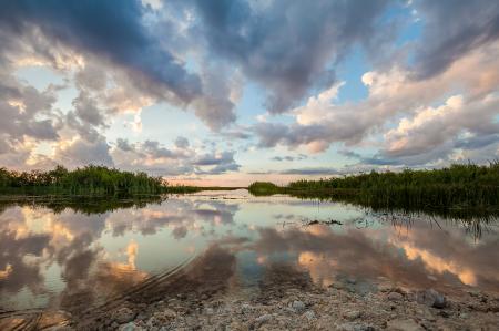 Trees, Lake And Clouds During Golden Hour