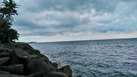 Trees Near Body of Water